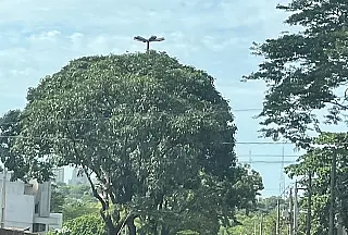 Dia começa com sensação de 37 graus