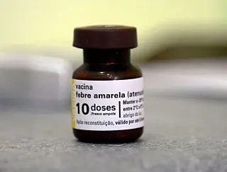 Saúde alerta para os riscos da febre amarela no País