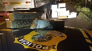 PRF prende caminhoneiro que transportava mais de R$ 10 milhões escondidos em carga de hortifrutigran