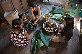MPF participará de encontro sobre a alimentação dos povos tradicionais em Dourados