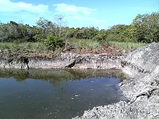 Fazendeiro desmata área às margens do Rio Formoso em Bonito e é multado