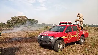 Incêndios são registrados no Pantanal