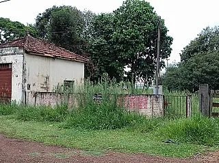 Moradores denunciam imóvel tomado pelo mato na área central