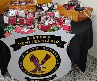 Produção de bioabsorventes em presídio é alternativa sustentável para levar dignidade a mulheres