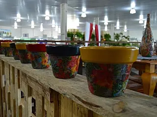 Leilão de flores, plantas e vasos coroa o sucesso da Exposhopping