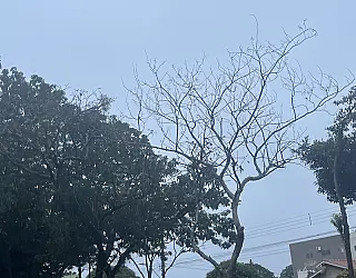 Temperaturas baixas no final de semana