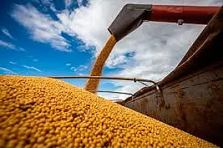 Produção de grãos no Brasil atingirá 299,27 milhões de toneladas