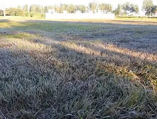 Dourados tem madrugada mais fria, com mínima de 2ºC