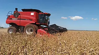 Se fosse país, Maracaju seria o 14º maior produtor mundial do grão