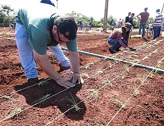 Agronomia da Unigran mantém rodízio em áreas de cultivo do curso