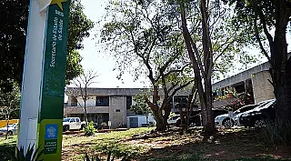 Mais de 1600 pessoas tiveram leishmaniose em Mato Grosso do Sul nos últimos sete anos