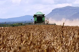 Safra recorde salva o PIB do 1º trimestre e reanima a economia brasileira