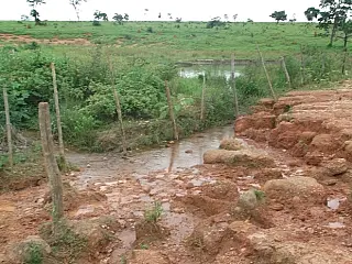 Produtor rural é multado por crime ambiental