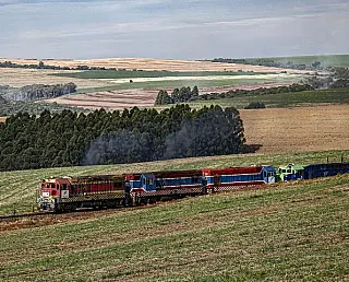 Nova Ferroeste deve ir a leilão ainda este ano