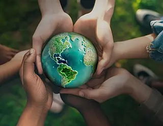 Sicredi neutraliza emissões de carbono 