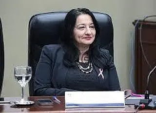 Suplente de vereadora, Denize Portolann deve voltar para a Câmara