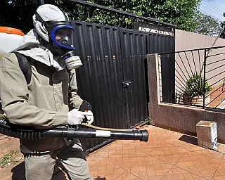 Casos de Chikungunya despencam em Dourados