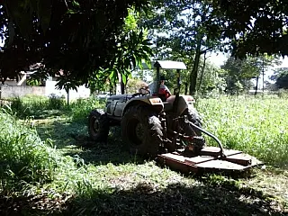 Prefeitura cobrará roçada em terrenos baldios