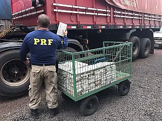 Homem é preso com 169 kg de cocaína que trocou por areia na fronteira