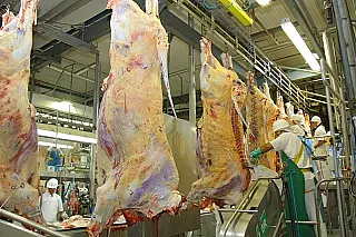 Balança comercial de Mato Grosso do Sul salta para US$ 2,1 bilhões