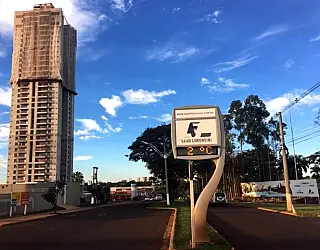 Cidade do interior de Minas registra 9,1°C negativos e Brasil espera por geada gigante