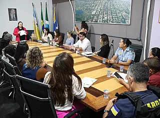 Câmara intervém por rede de proteção à mulher vítima de violência