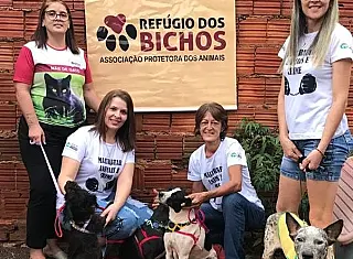 Soraya anuncia R$ 500 mil para atender ong de animais e o CCZ em Dourados