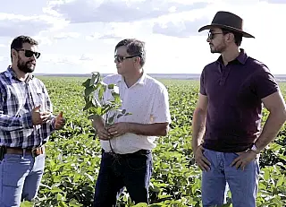 Agricultor enfrenta perdas por conta da onda de calor