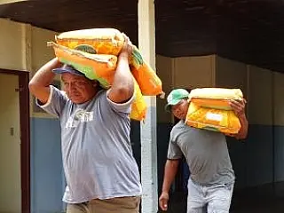Sementes e insumos para a produção familiar