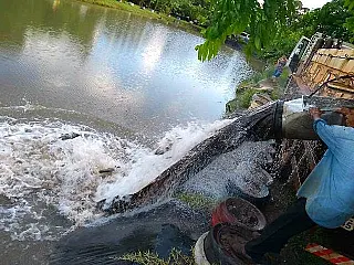 Agricultura Familiar incentiva produtores de peixes em Dourados