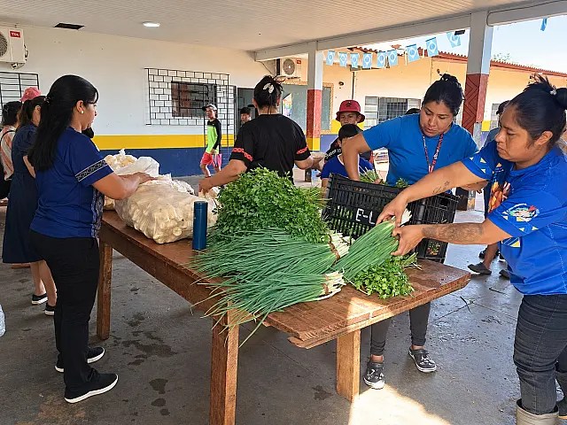 PAA Indígena chega a 33 agricultores em Dourados