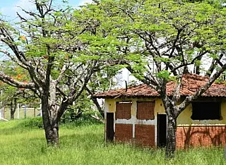 Liandra vai construir nova Câmara em área central